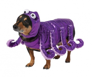 frisco octopus dog costume