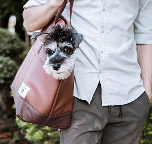 tailfour portable travel pet carrier
